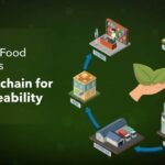 How to Track Food Supply Chains Using Blockchain for Better Traceability