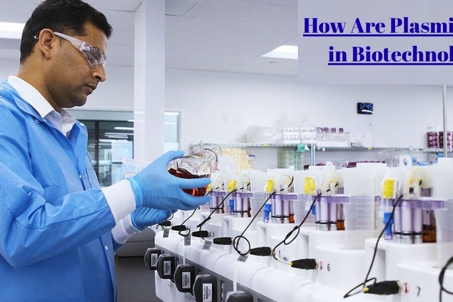 How Are Plasmids Used in Biotechnology? From Gene Cloning to Protein Production